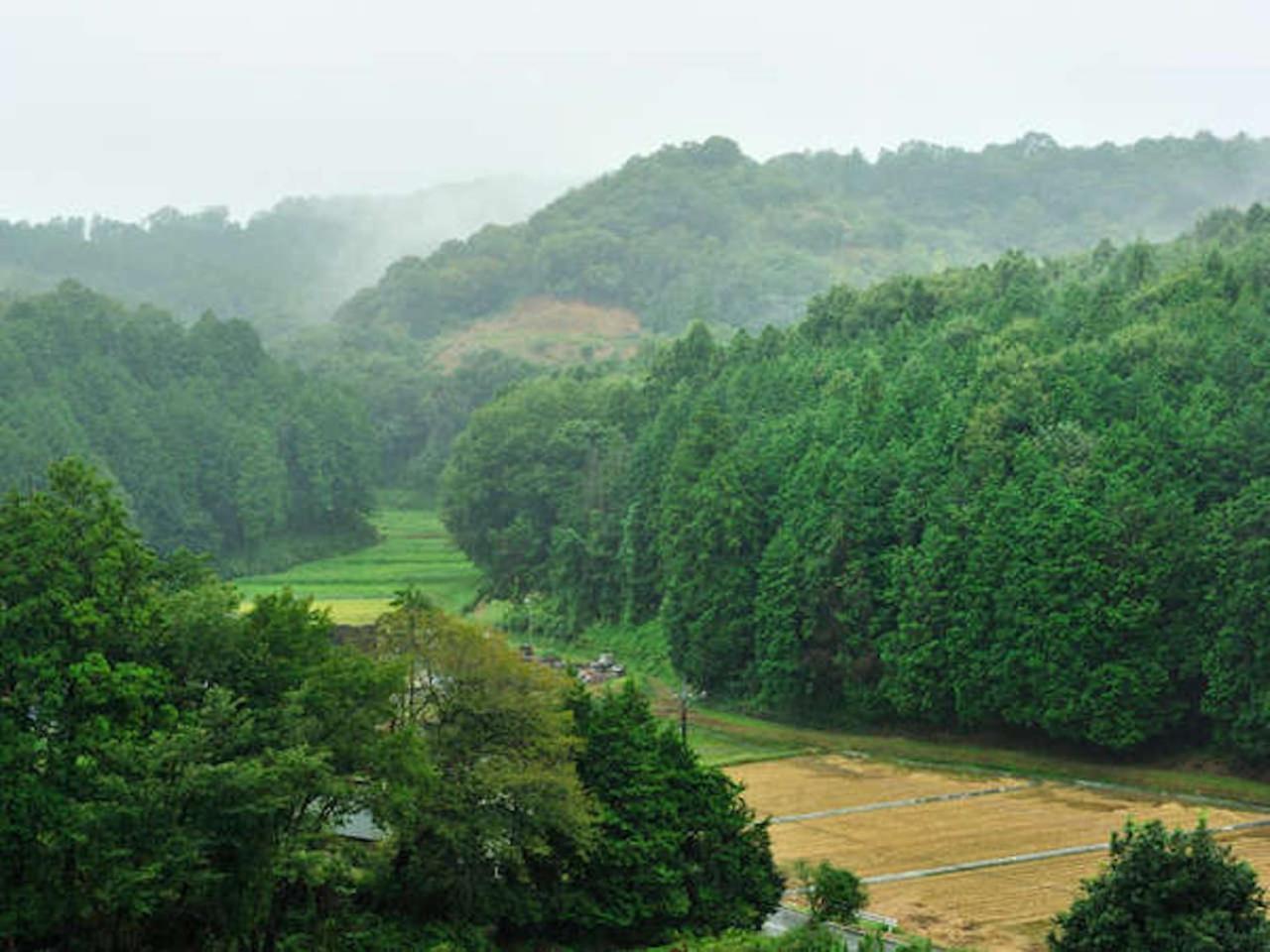 Mashikokan Satoyama Resort Hotel Eksteriør billede